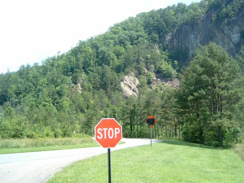 1985 Ford LTD Crown Victoria - A stop sign marks a turn on a road bordered by lush green grass and a dense forest covering a rocky mountain.