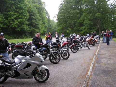 1985 Ford LTD Crown Victoria - A group of motorcyclists and their bikes are gathered on the side of a tree-lined road.