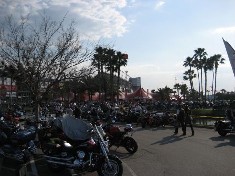 1986 Ford Bronco - A large gathering of motorcycles parked in an outdoor lot, with tents and palm trees in the background.