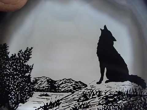 1978 Ford Bronco - A graphic depicts a wolf howling against a backdrop of mountains and trees, with a website watermark present.