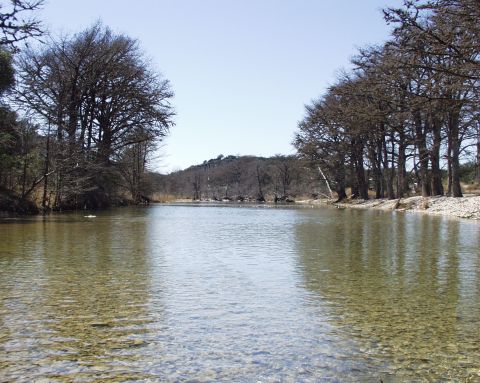2000 Ford Crown Victoria - A tranquil river scene with trees on the banks and a clear sky overhead.