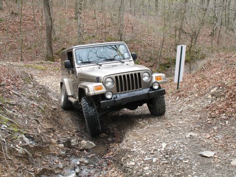 1993 Ford Bronco - Non-disco'd Sahara flex.