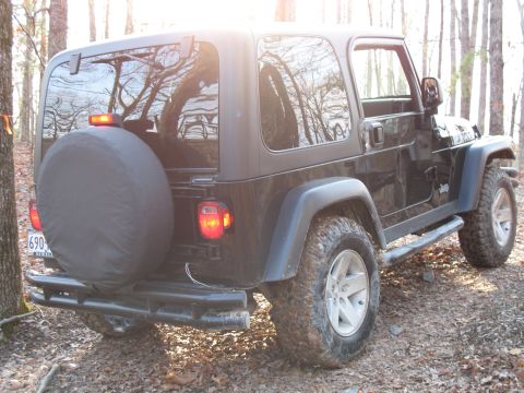 1993 Ford Bronco - Rubi's ass