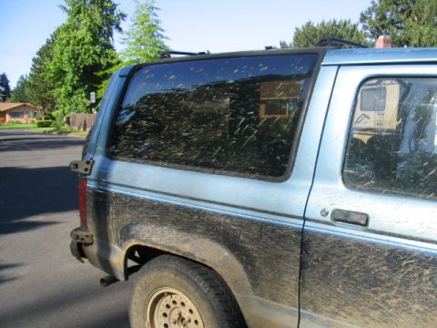 1990 Ford Bronco II “BluBro2”