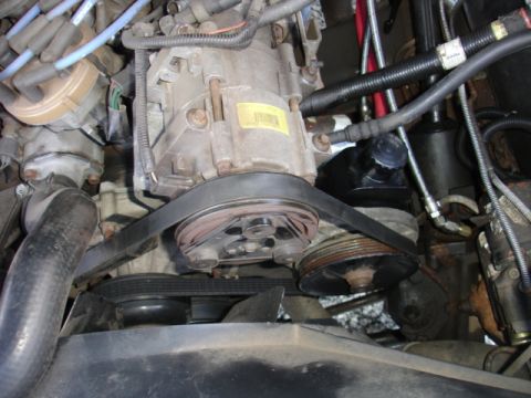 1996 Ford Bronco - Close-up view of the engine bay, highlighting the serpentine belt system and associated components.