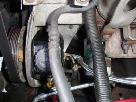 1996 Ford Bronco - Power steering pump assembly with pulley and hoses visible.