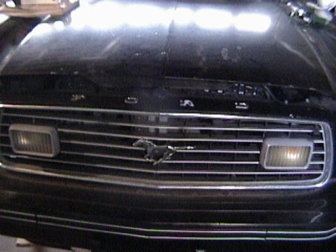 1977 Ford Mustang - The grille of a 1977 Ford Mustang features horizontal bars and a prominent running horse emblem.