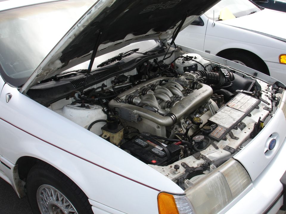 White 1993 Ford Taurus SHO engine bay with hood open, showing V6 engine and intake manifold. Another white car is partially visible behind it
