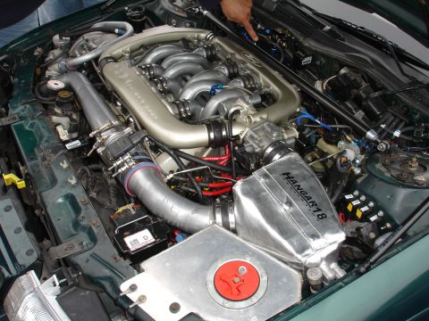 1993 Ford Taurus - Engine bay view of a modified Ford SHO V8, custom intake and fuel lines.