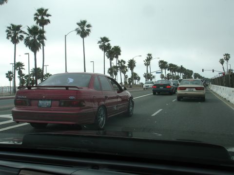 1993 Ford Taurus - A red 1993 Ford Taurus sedan is seen from behind while driving on a road lined with palm trees.