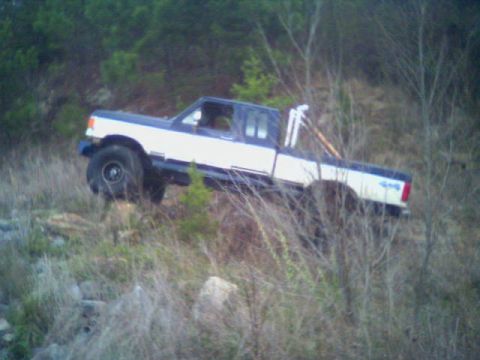 1991 Ford F-150 - This 1991 Ford F-150 is navigating a challenging off-road terrain with dense foliage.