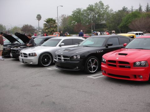 1998 Ford Crown Victoria - Multiple Dodge Chargers, including a red SRT, are parked together at an outdoor gathering.