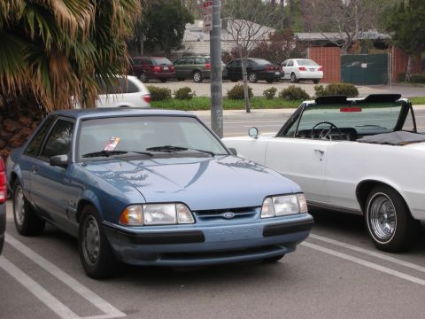 1998 Ford Crown Victoria - A blue Ford Mustang coupe is parked next to a white convertible in a parking lot.