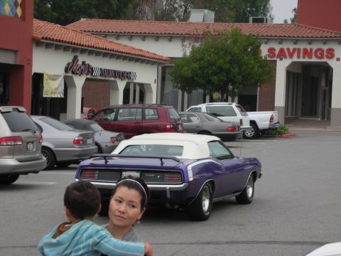 1998 Ford Crown Victoria - Purple convertible muscle car parked in a lot with other vehicles and storefronts.