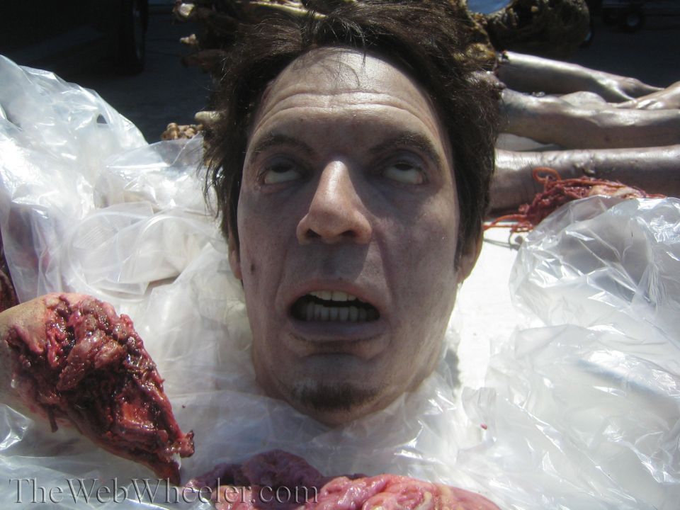 Close-up of a gory severed fake head special-effects prop on plastic sheeting