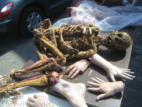 1990 Ford Bronco - Photo of a Halloween special-effects skeletal corpse prop and severed hands laid on a table.
