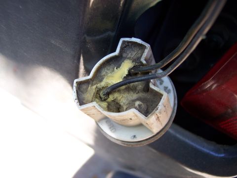 1996 Ford Bronco - Back-up lamp socket (rear, w/cap removed)