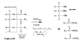 1980 Ford Bronco - This is the transesterfication reaction to produce biodiesel from vegetable oil.