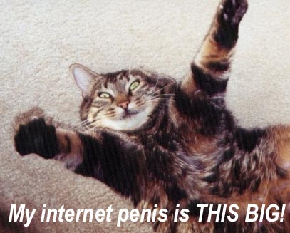 1989 Ford Probe - A cat lies on its back with its paws raised, accompanied by text that reads "My internet penis is THIS BIG!" and a website address.