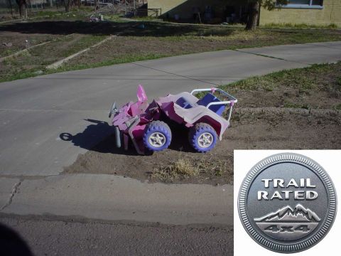 1981 Ford F-150 - Trail Rated!!