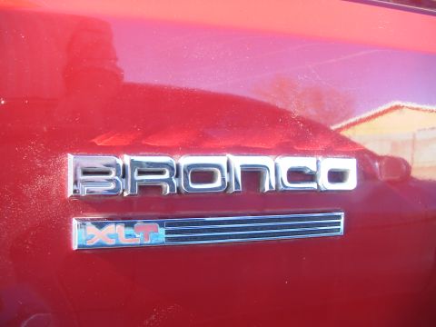 1989 Ford Bronco photo