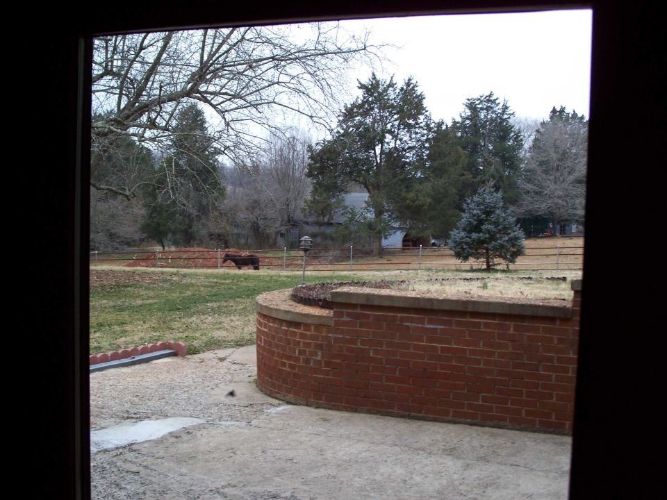 View through a doorway to a brick patio wall and winter pasture with a horse