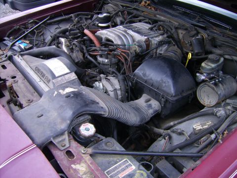 1982 Ford LTD Crown Victoria - Close-up view of the engine bay, showing the V8 engine, radiator, and various hoses and wiring.