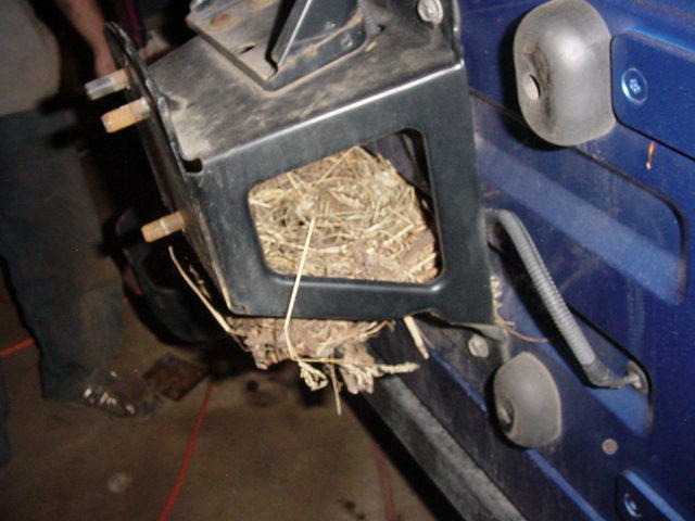 Bird's nest built inside blue vehicle's frame