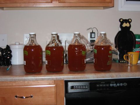 1985 Ford LTD Crown Victoria - Four jugs of amber liquid are lined up on a kitchen counter, with decorative items in the background.