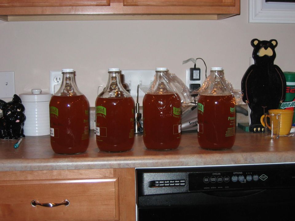 Four glass jugs filled with amber liquid sit on a kitchen counter next to a black bear figurine and a yellow mug