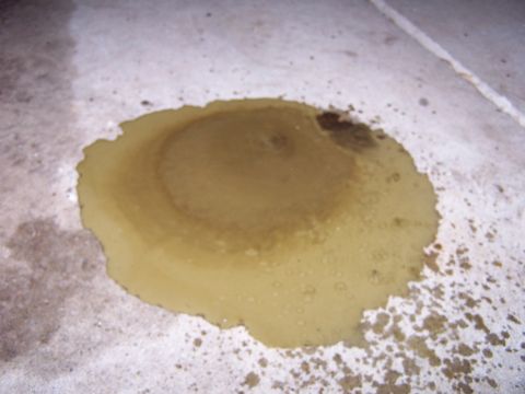 1994 Ford Probe - A puddle of fluid has stained the concrete floor, leaving a circular mark.