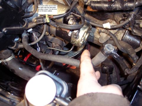 1995 Ford Probe - Close-up view of an engine bay, with a hand indicating a hose. Text overlay clarifies it's not from a 1990 or 1995 motor.