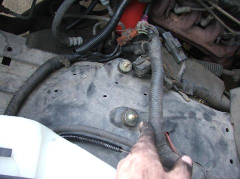 1991 Ford LTD Crown Victoria - This photo shows a section of a vehicle's engine bay with various wires and hoses visible.
