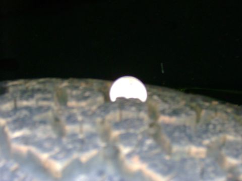 1989 Ford Bronco - The image shows a close-up view of a tire's tread pattern with a bright, circular reflection on its surface.