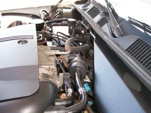 Engine bay of a 1999 Ford Crown Victoria, showing hoses, wiring, and engine components