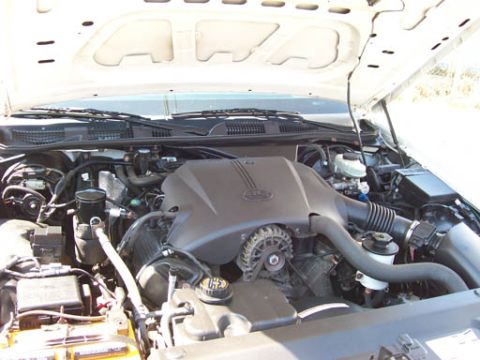 1999 Ford Crown Victoria - The engine bay of a 1998 Ford Crown Victoria is visible with the hood open, revealing the engine components.