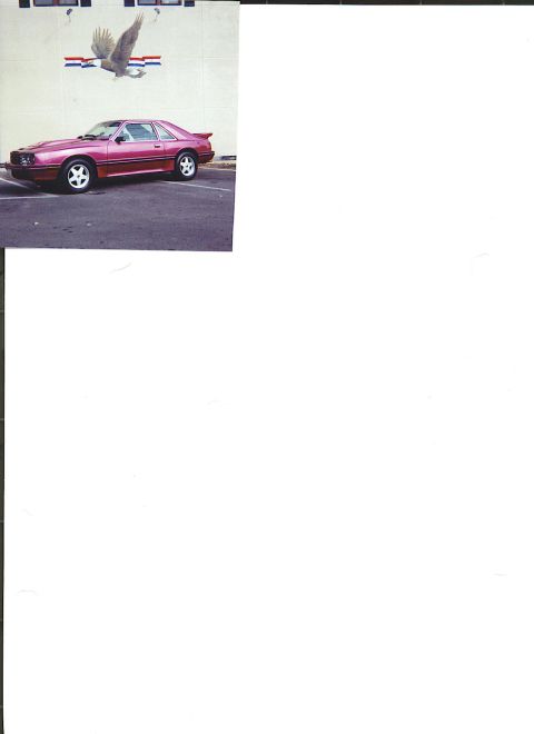 1982 Mercury Capri “Wild Iris Rose”