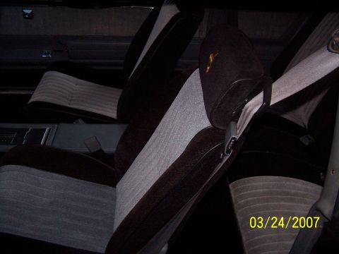 1979 Ford F-150 - Interior of a car showing the patterned seats and seatbelts.