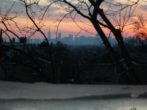 1992 Ford Taurus - A hazy sunset paints the sky behind a distant city skyline, framed by silhouetted tree branches.
