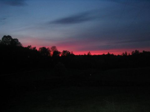 1973 Ford F-100 - A vibrant sunset paints the sky with pink and blue tones, casting a silhouette over the trees and landscape below.