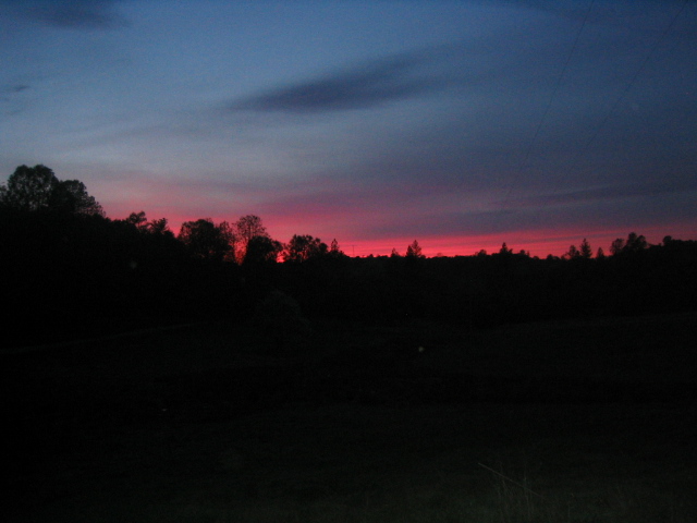 Sunset sky with pink and blue hues over silhouetted trees and dark landscape