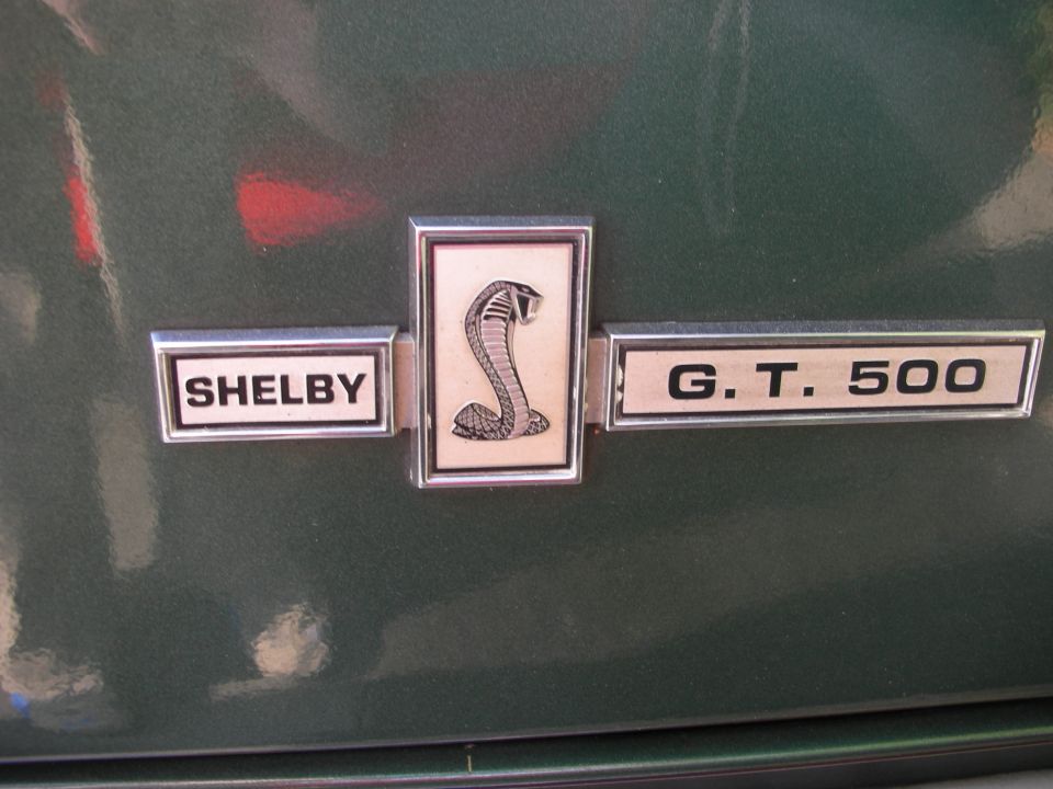 Shelby G.T. 500 cobra emblem badge on a green car body
