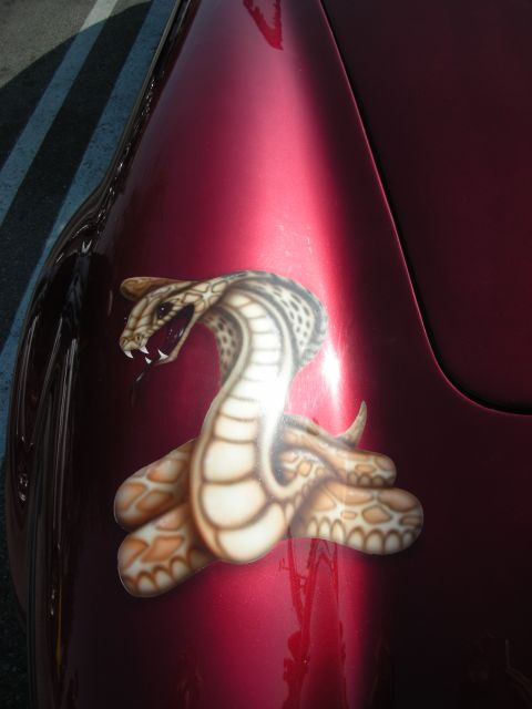 1998 Ford Crown Victoria - airbrushed rearing cobra snake graphic painted on a glossy metallic dark-red car body panel.