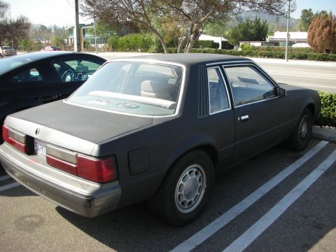 1998 Ford Crown Victoria - Rear-quarter view of a faded grey 1980s Ford Mustang coupe with steel wheels parked along a tree-lined road.
