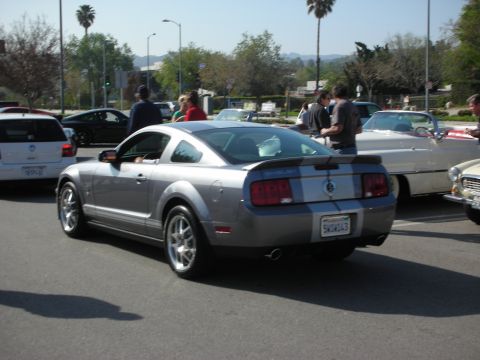 1998 Ford Crown Victoria - silver Ford Shelby Mustang with center racing stripes is viewed from the rear among other cars at an outdoor meet.
