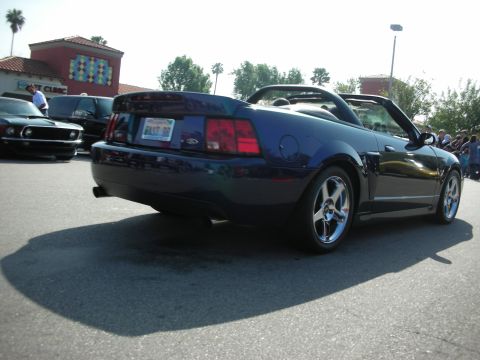 1998 Ford Crown Victoria - dark blue Ford Mustang convertible is shown from the rear three-quarter with chrome wheels in a sunny show lot.