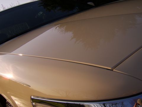 1996 Mercury Grand Marquis - Close-up of the hood and windshield of a 1996 Mercury Grand Marquis.