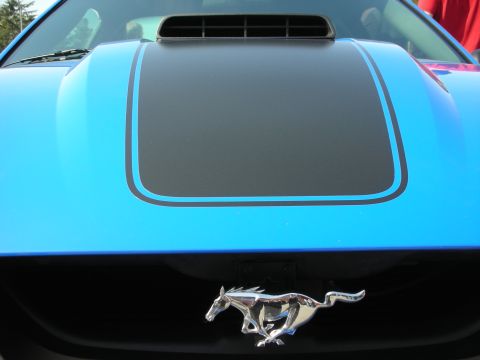 1998 Ford Crown Victoria - Detail of a blue Ford Mustang's black shaker hood scoop, pinstriped hood graphic and the chrome running-horse grille emblem.