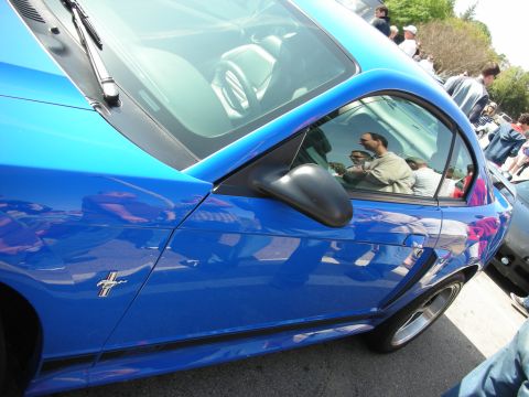 1998 Ford Crown Victoria - Side profile of a blue Ford Mustang coupe showing the door mirror, side glass and a chrome running-horse fender emblem at a car meet.