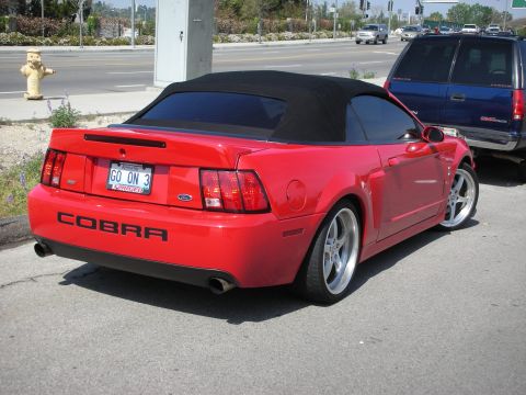 1998 Ford Crown Victoria - red Ford Mustang SVT Cobra convertible with chrome wheels and Cobra badging parked along a roadside curb.
